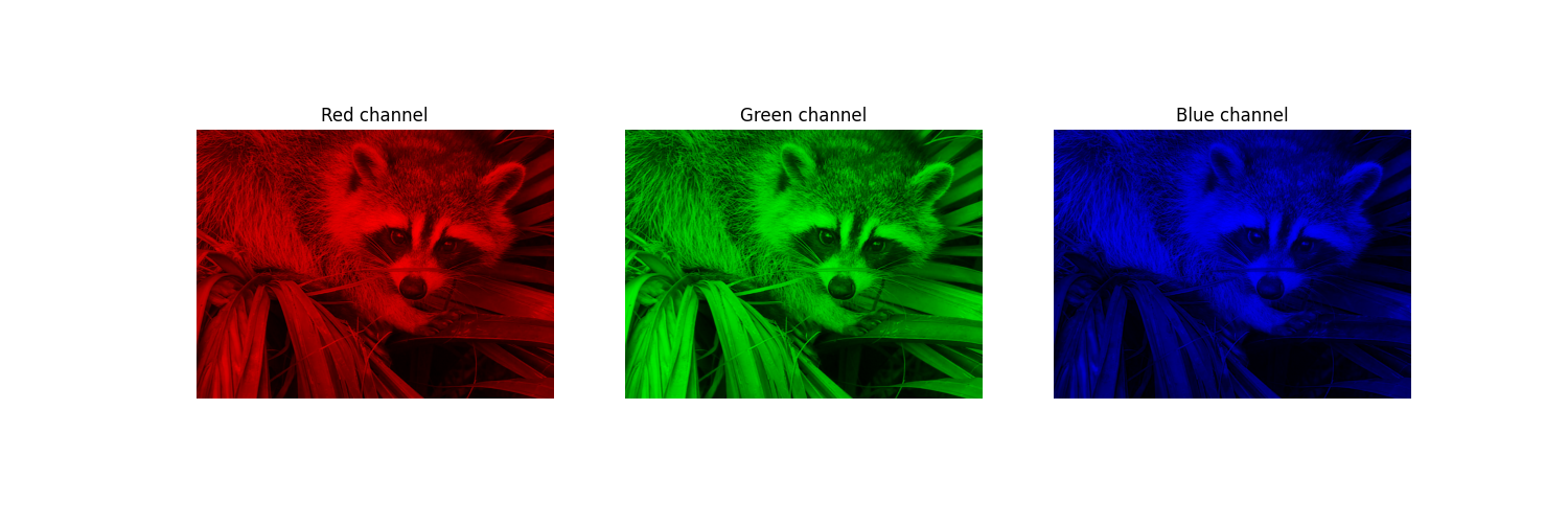 Raccoon image in three differrent color channels